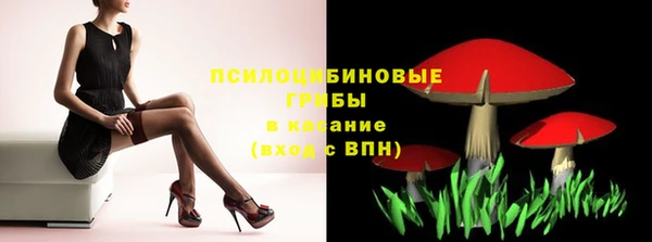 амф Билибино