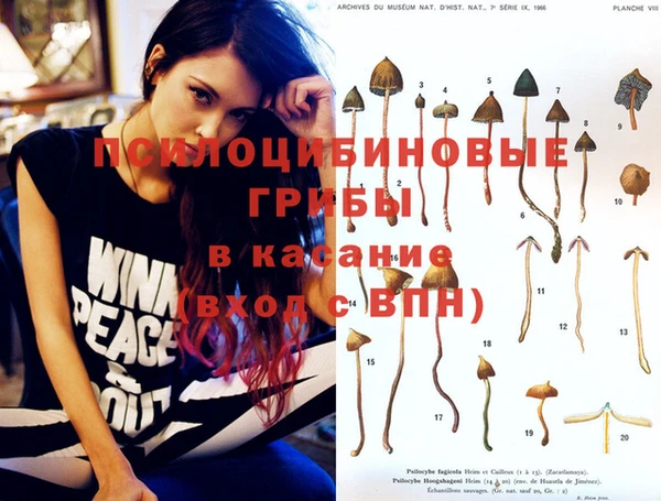 PSILOCYBIN Болохово