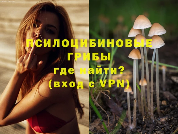 PSILOCYBIN Болохово