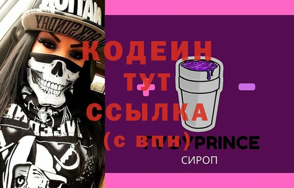 прущий лед Бикин