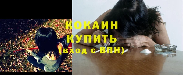 амф Билибино