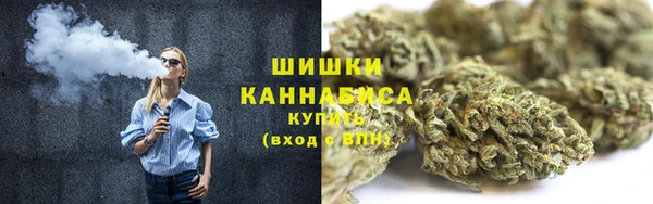 прущий лед Бикин