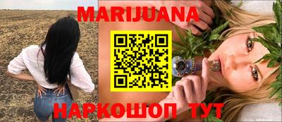 гидра Можга
