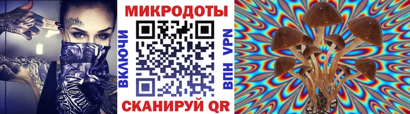 купить наркотик  Донской  Галлюциногенные грибы MAGIC MUSHROOMS 