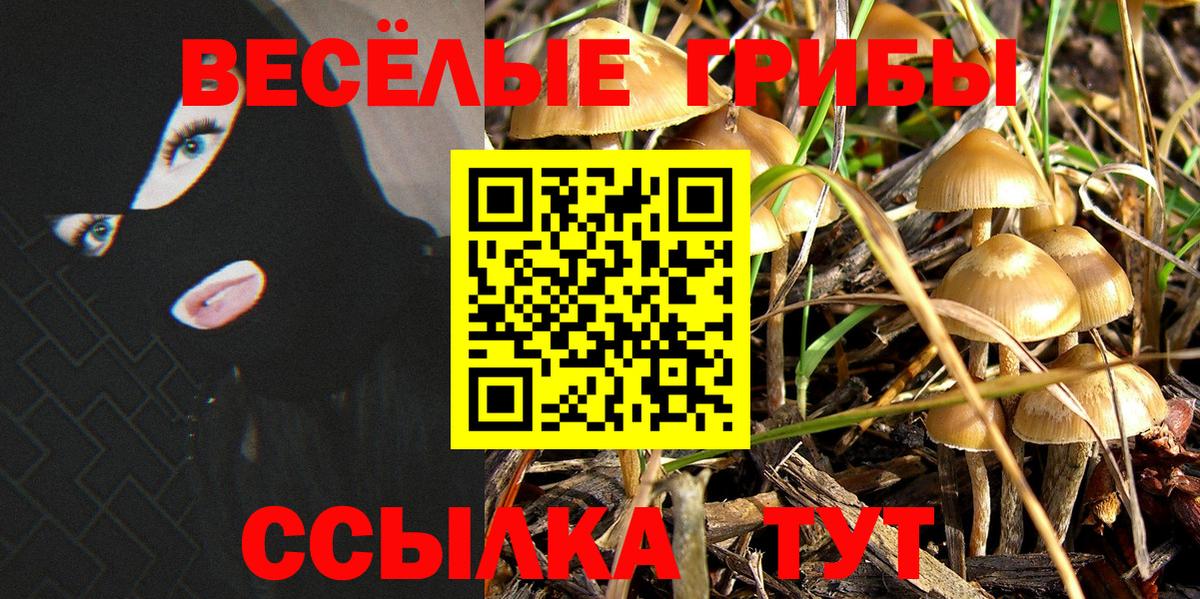 Галлюциногенные грибы ЛСД  Вход с VPN  Донской 