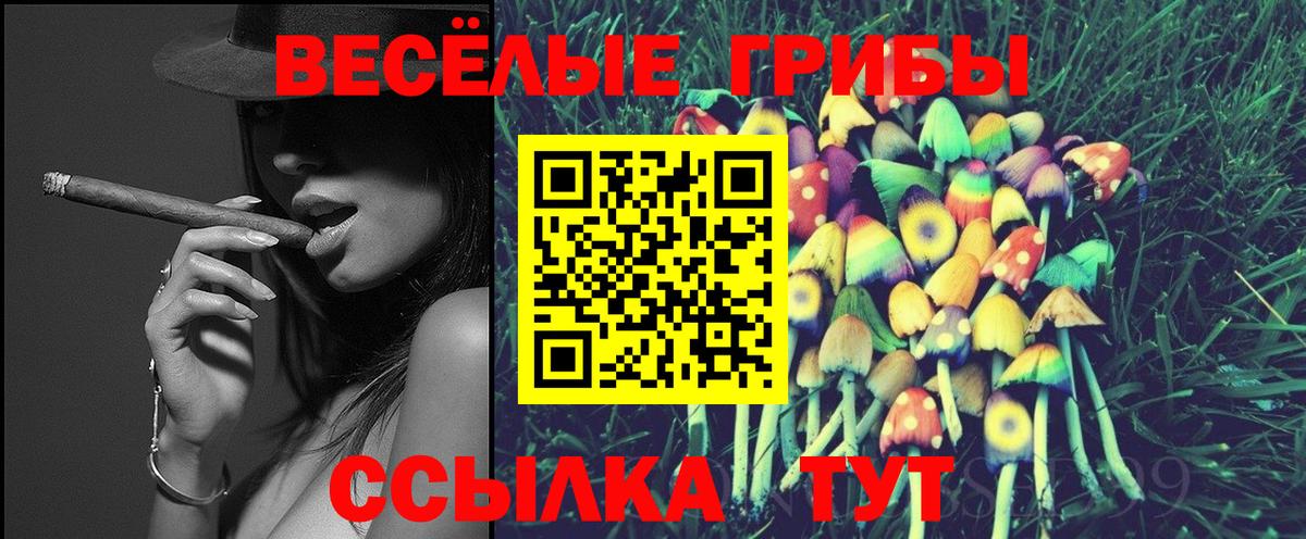 купить наркотики сайты  Псилоцибиновые грибы мухоморы  Донской  Галлюциногенные грибы GOLDEN TEACHER 