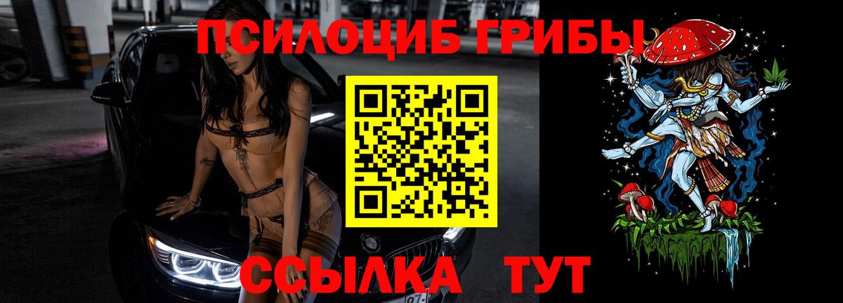 Псилоцибиновые грибы MAGIC MUSHROOMS Донской